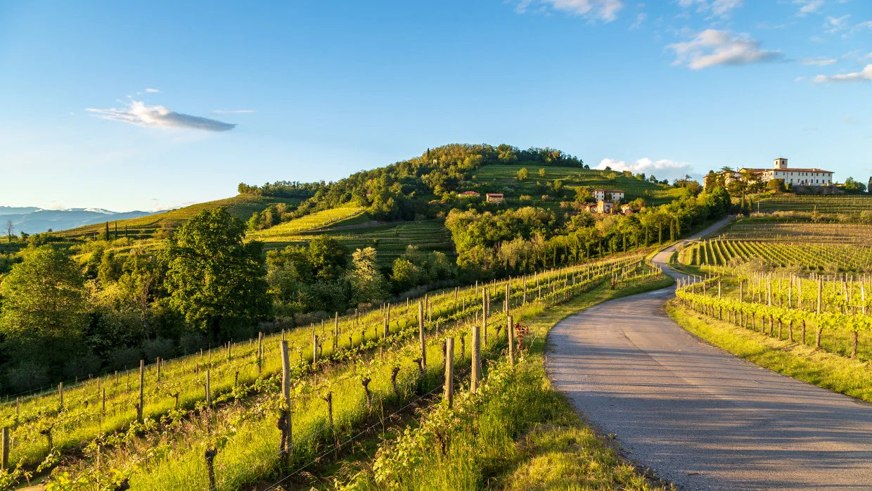 Il Friuli Venezia Giulia ed i suoi territori