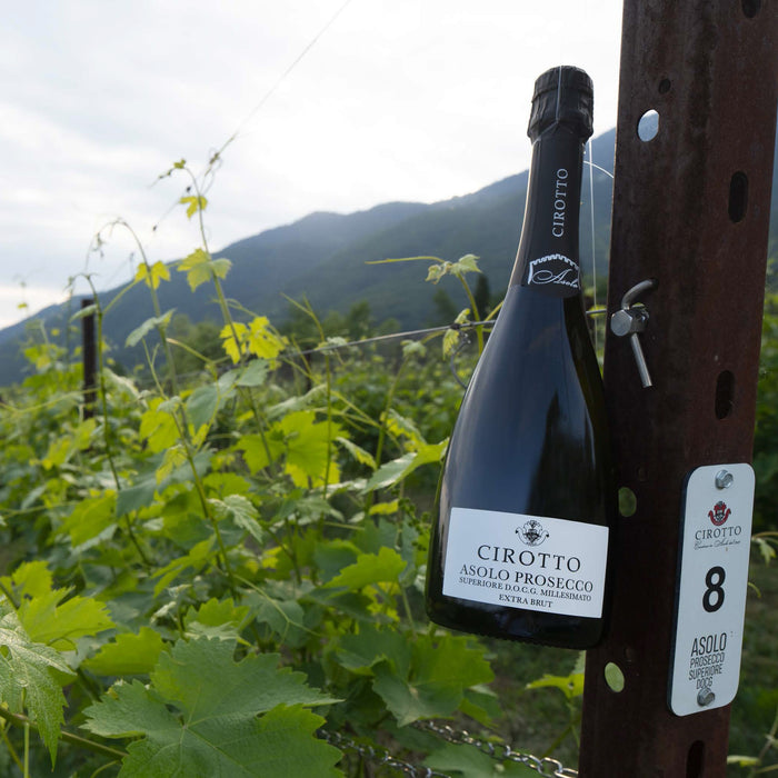 Asolo Prosecco Superiore DOCG Millesimato extra Brut  -  Cirotto - vaigustando