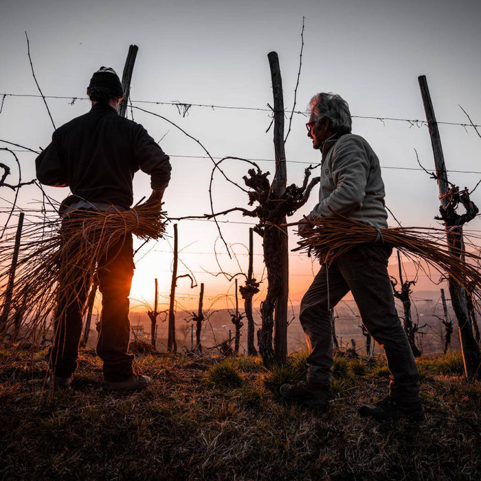 Angelo Pat vino bianco frizzante rifermentazione naturale in bottiglia  -  Pat del Colmel - vaigustando