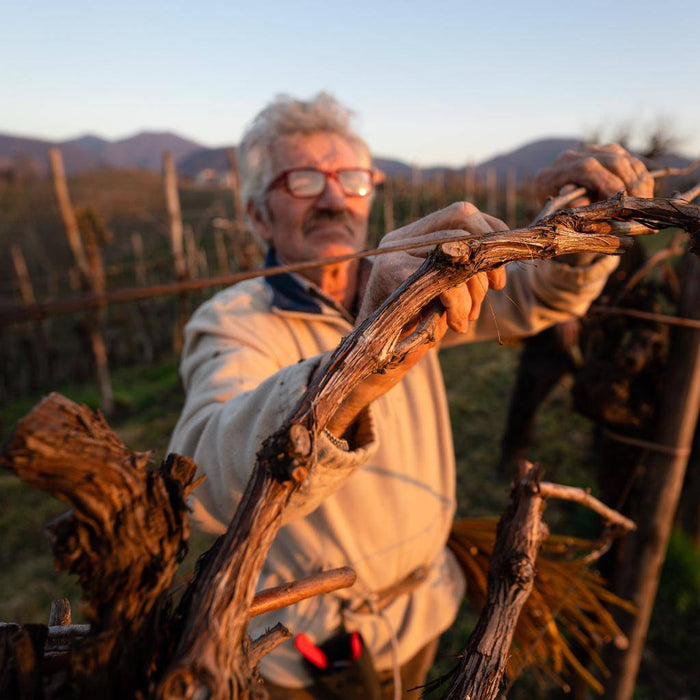 Rabbiosa Vecchio Vitigno vino bianco tranquillo  -  Pat del Colmel - vaigustando