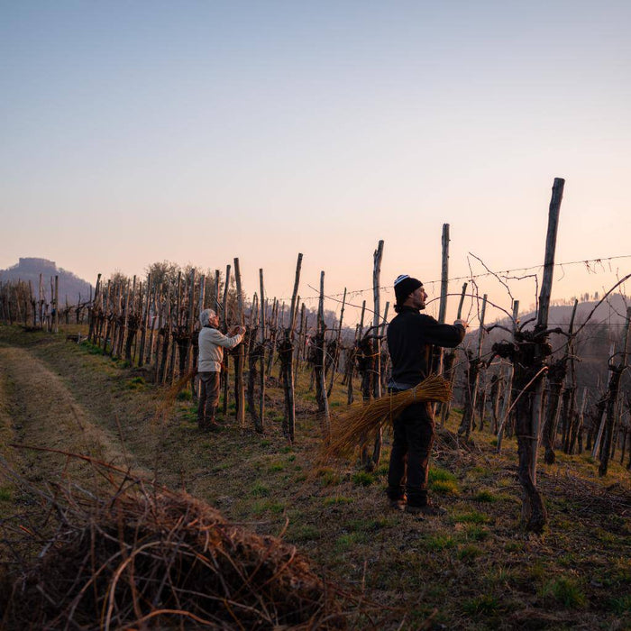 Asolo Montello Rosso della Rocca Merlot DOC annata 2020  -  Pat del Colmel - vaigustando